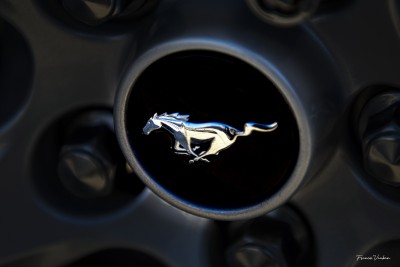 Mustang drivers club83. Club Privé