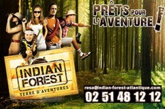 INDIAN FOREST