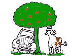 2 CV SOUS LES POMMIERS