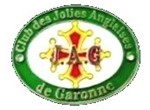 CLUB JAG31