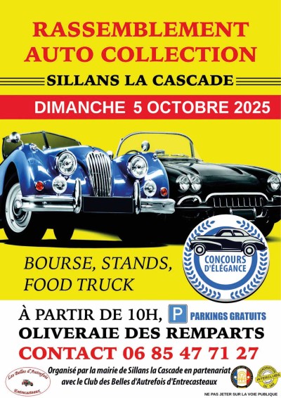Rassemblement et bourse véhicules de collection
