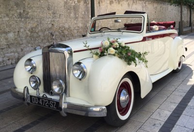 ALVIS