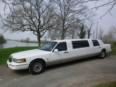 DOM'LIMOUSINE