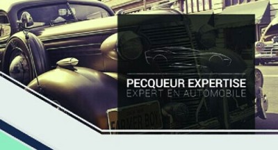 PECQUEUR EXPERTISE