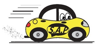 SAP SERVICE